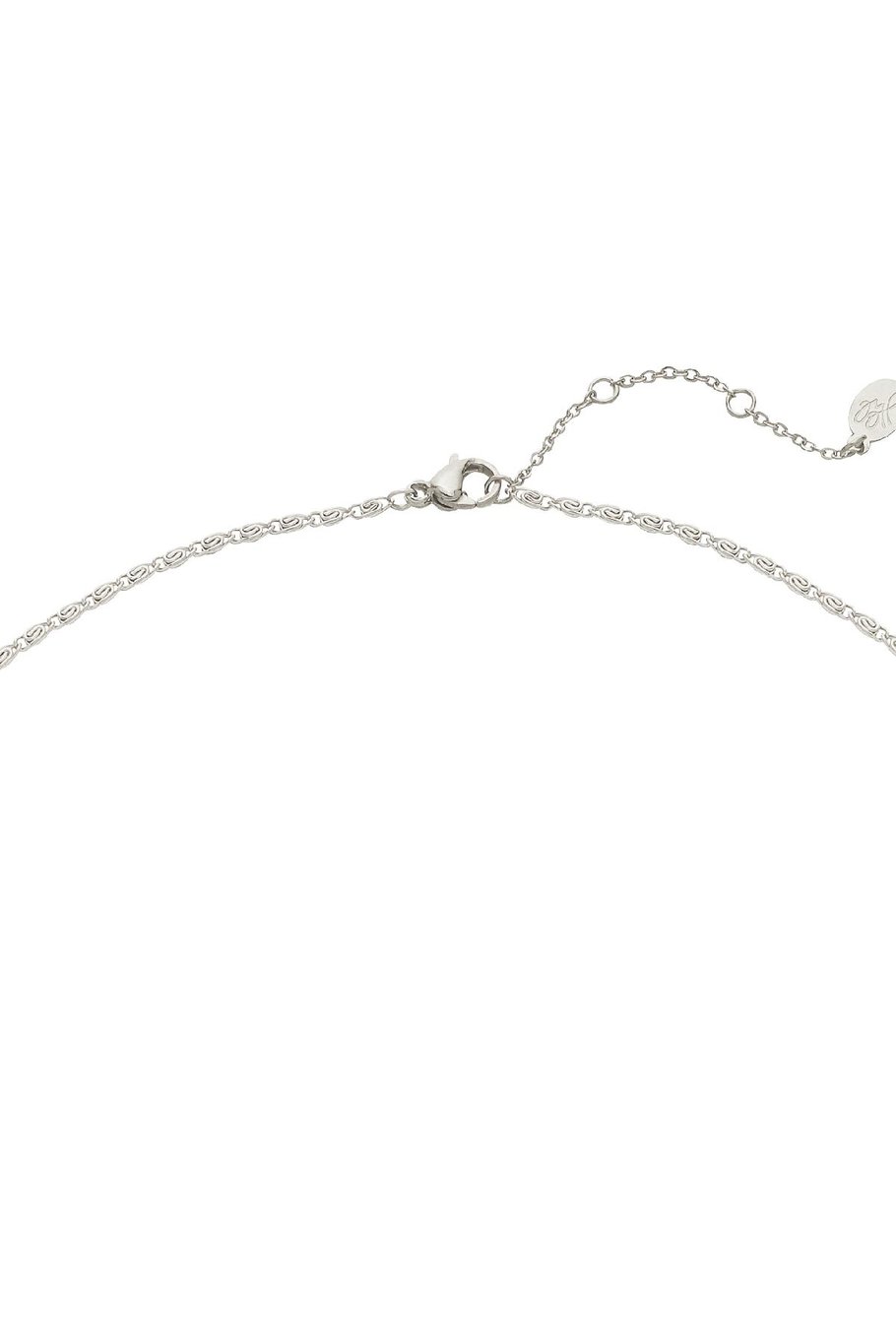 Ketting Head Up Zilver Stainless Steel Afbeelding3